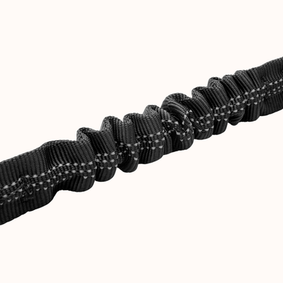 The Greyt Paws Co Signature Leash