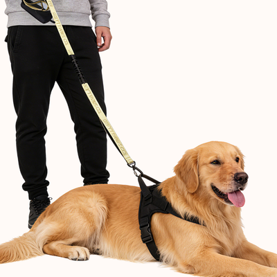 The Greyt Paws Co Signature Leash