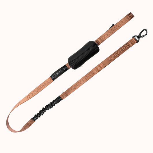 The Greyt Paws Co Signature Leash